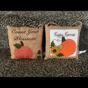 ⭐️ SOLD ⭐️ Set of 2 hanging door pillows